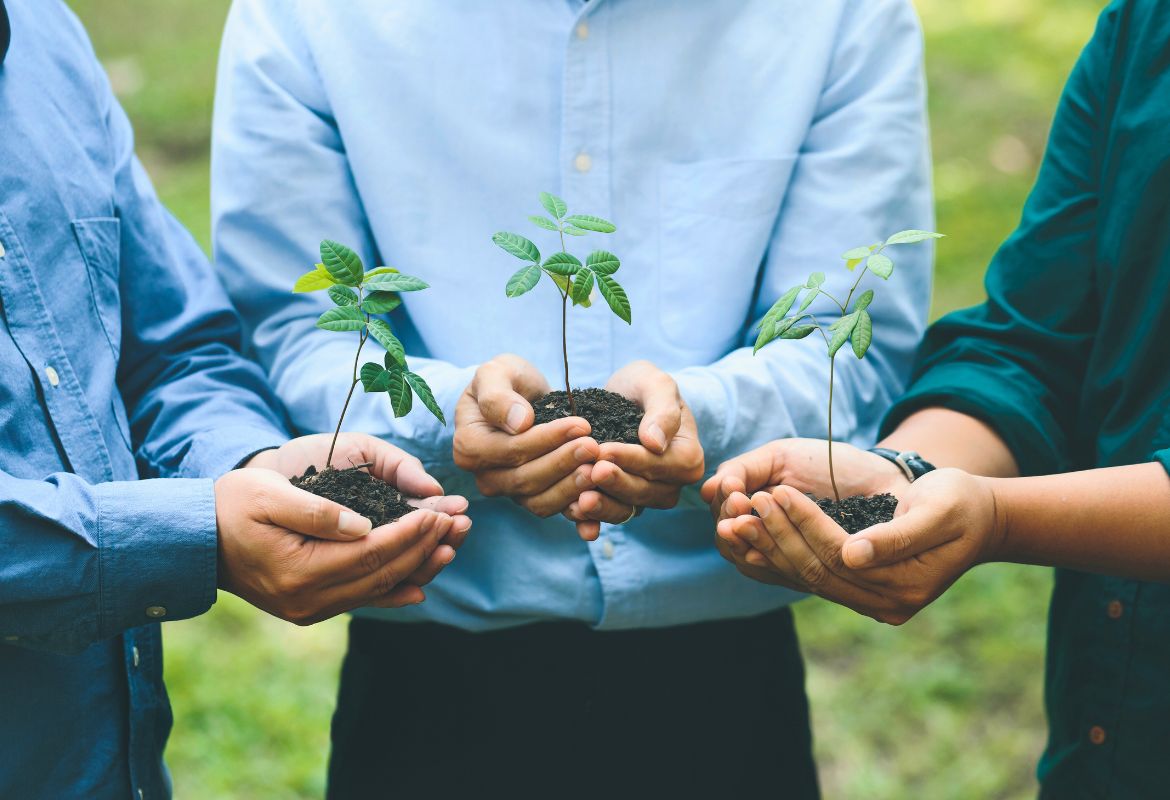 eco-communication-aziende-comunicano-valore-sostenibilita