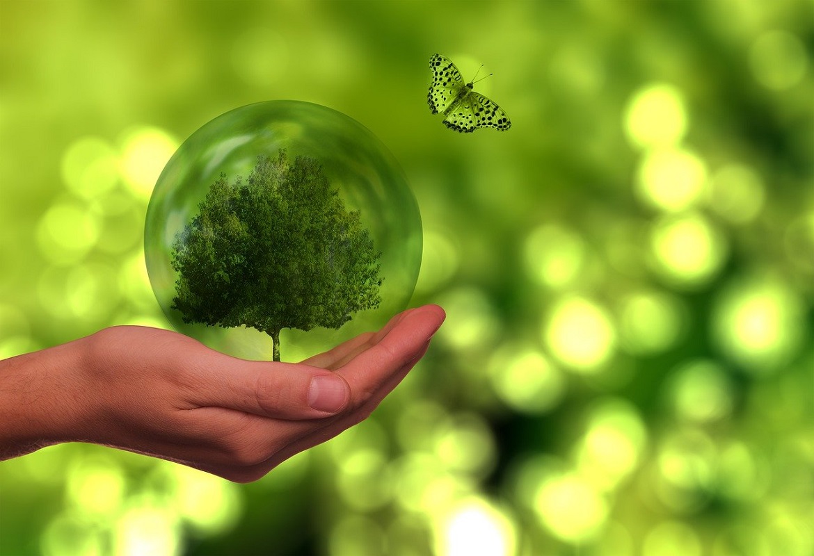 6-cose-che-forse-non-sai-utilizzo-energia-solare