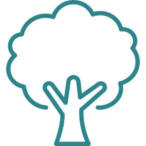 Albero per la piantumazione