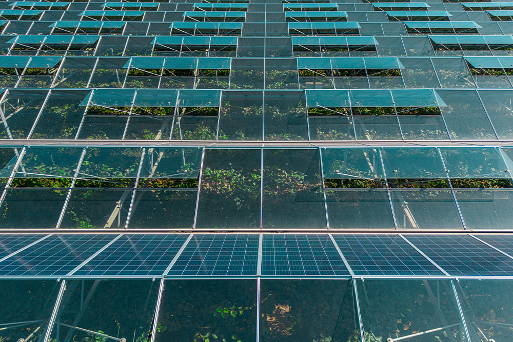 serre-fotovoltaiche-incentivi-agrivoltaico