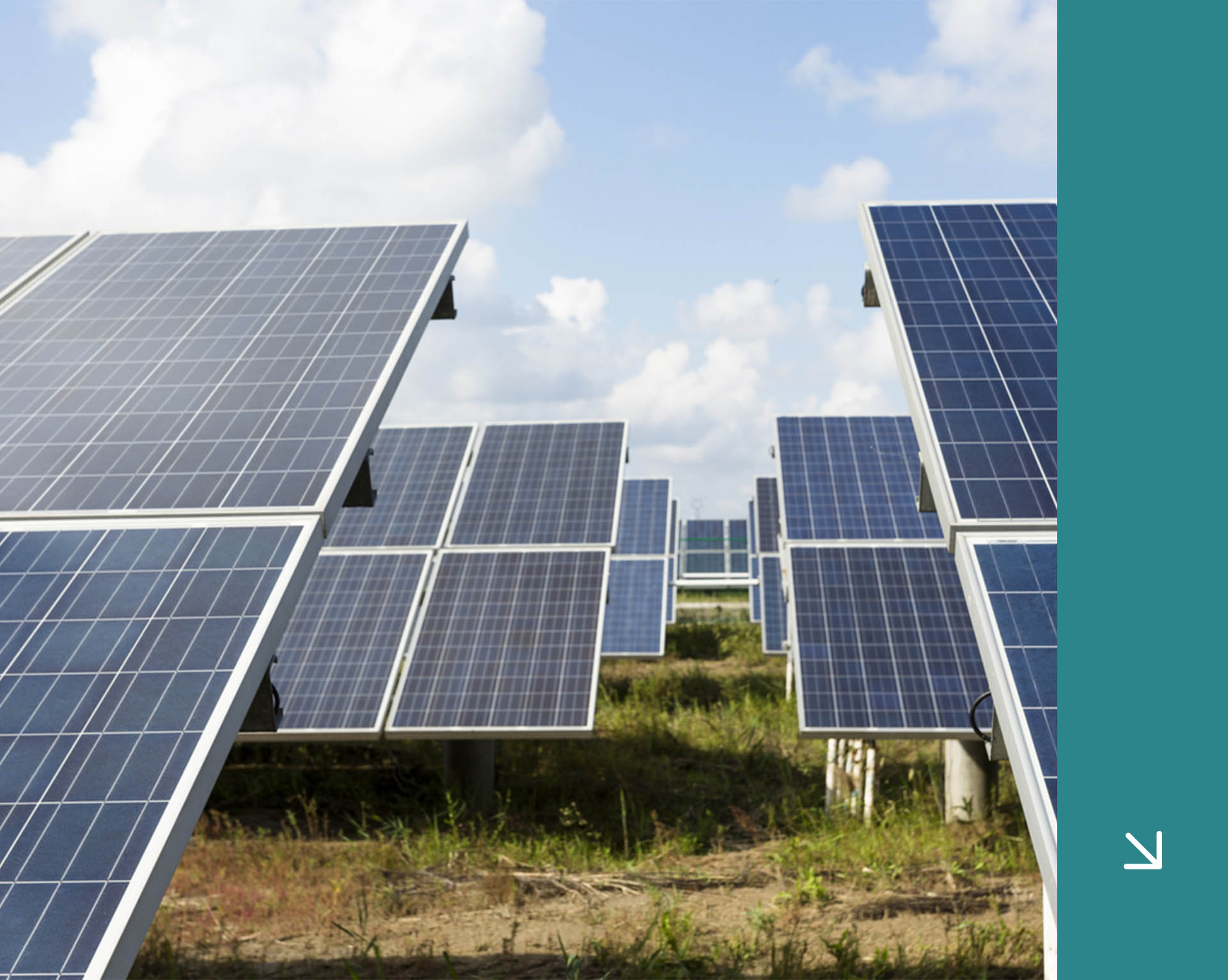 pannelli-solari-bifacciali-piu-energia-albori-green